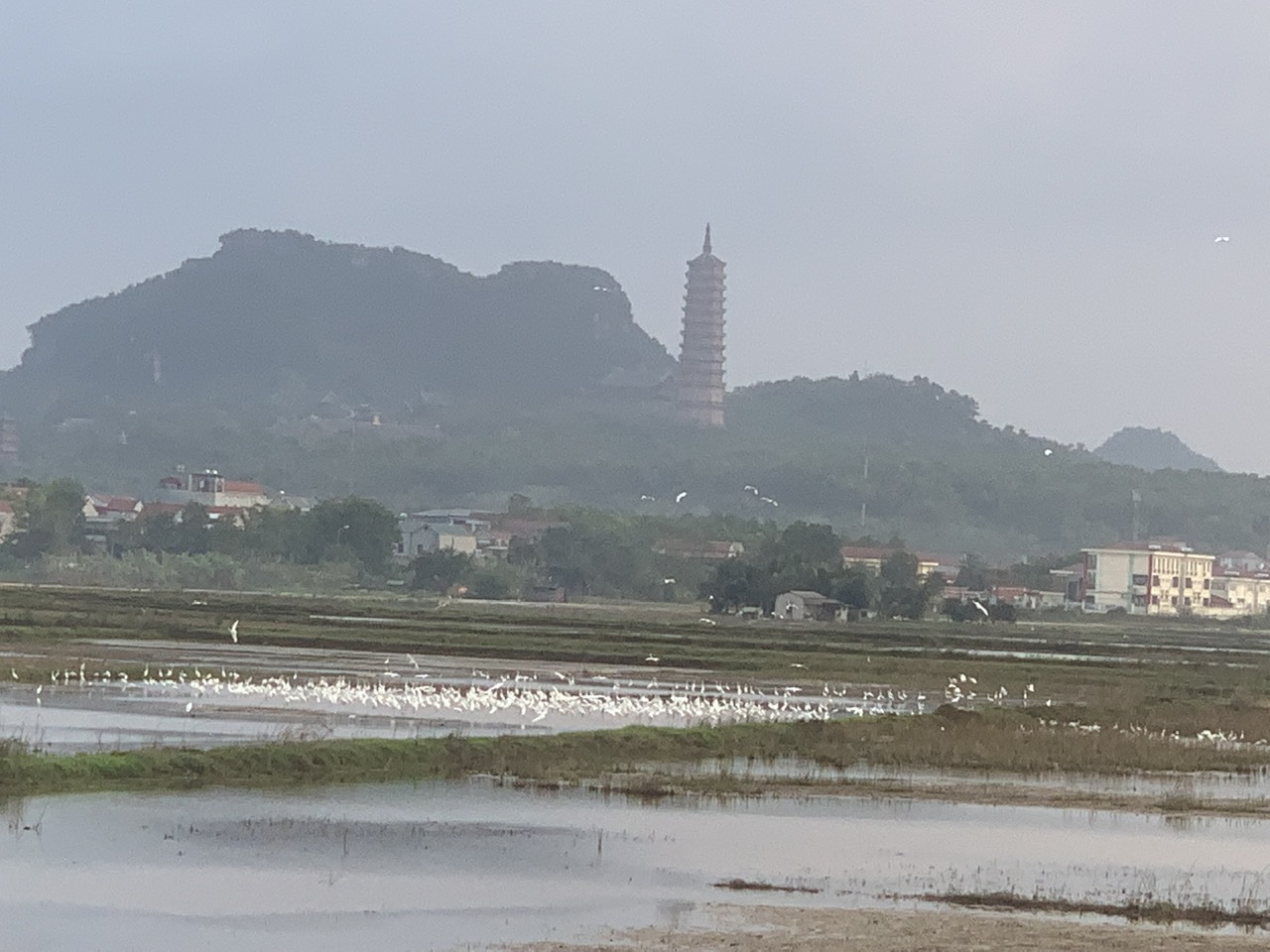 A JOURNEY "BACK TO THE ROOTS" – EXPLORING THE HISTORY AND LANDSCAPE OF NINH BINH WITH THE FACULTY OF INFORMATION TECHNOLOGY